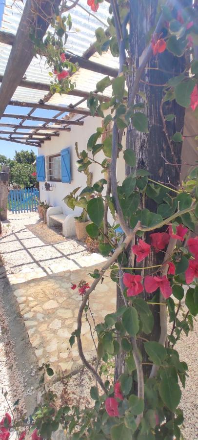Appartement Sweet Old House à Marsala Extérieur photo